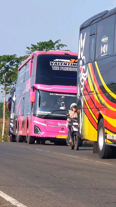Konvoi Bus Akap Jepara Melewati Alas Karet Keling • Haryanto, Kencana, Bejeu, New Shantika