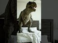 T-rex while playing on bed