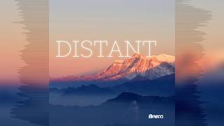 Brecci -  Distant