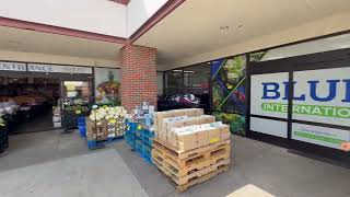 WELCOME TO BLUE FIG INTERNATIONAL MARKET OFFICAIL YOUTUBE CHANNEL