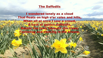 The Daffodils by William Wordsworth...Explanation Class 11 Chinar
