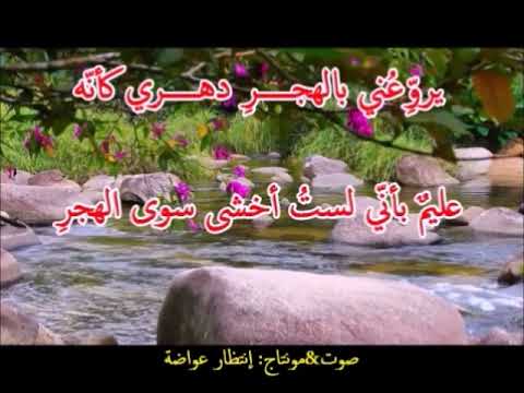 قصيدة نيويورك من الأدب المهجري رشيد أيوب