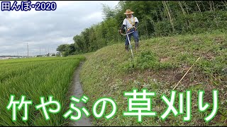 竹やぶの草刈り 田んぼ・2020 20200723