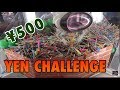 500 YEN CHALLENGE AT ROUND ONE