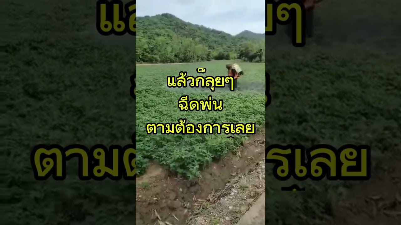 ฉีกแล้วเท ฉีดพ่นได้เลย #นารวย #นารวย #นาโนแม็ก