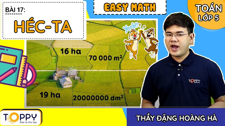 8 5 hecta bằng bao nhiêu mét vuông năm 2024