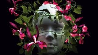 U2 - Original Of The Species (3d Audio Remix) 🎧
