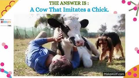 Even The Smartest Professor Can