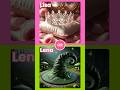 Lisa or Lena #wicked #elphaba #glinda #wickedness #witchcraft #witchqueen #thisorthat #choose #trend