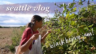 blackberry foraging | seattle summer vlog