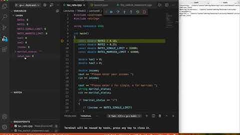 Debugging nested conditional branches (if/else) - Ioana Fleming