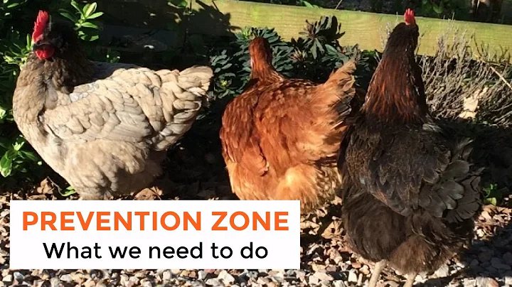 Avian Influenza Prevention Zone 2020 | Action plan at Byther Farm