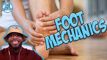 NPTE Practice Questions: Foot Mechanics On The NPTE