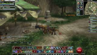 Rappelz: How much money from lv 1 to lv 10 [R5 Weapon]