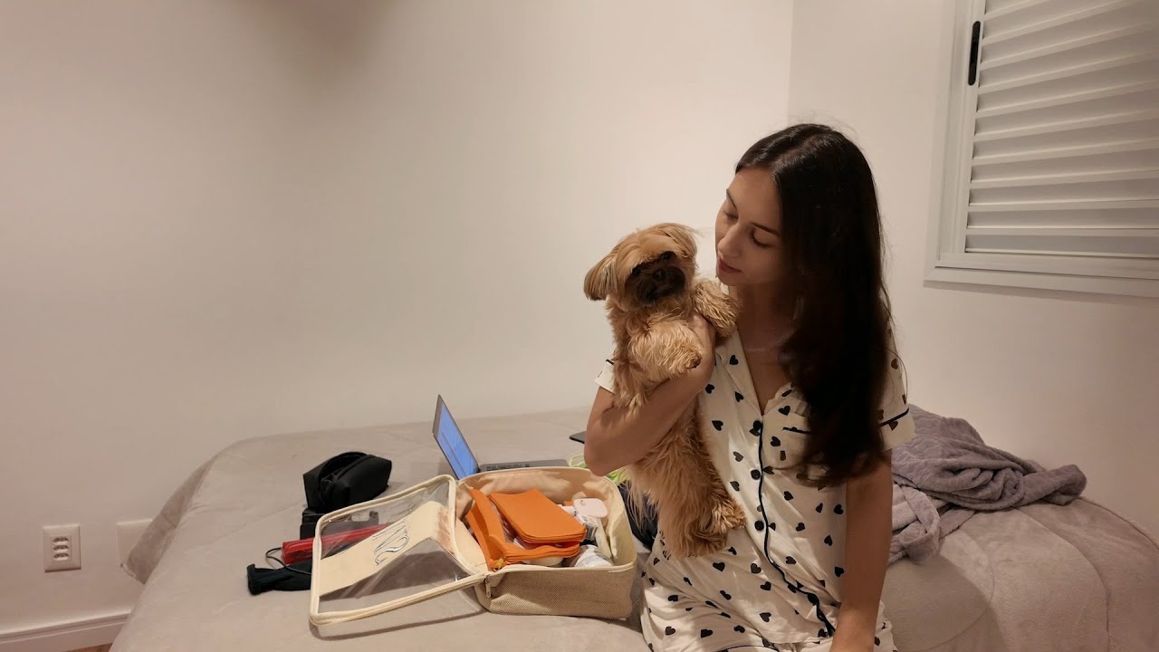 estou lesionada? | de volta à rotina, trabalho, aula de francês