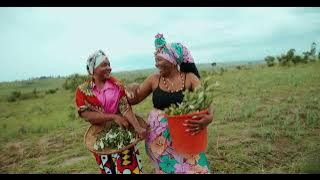3 Finer Mente Confusa ft Gerilson Insrael Official Video720p