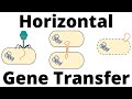 Horizontal Gene Transfer Quiz