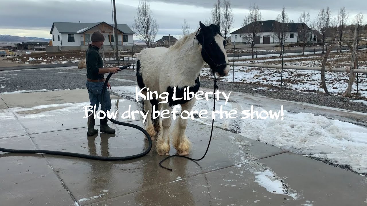 King Liberty Show Video