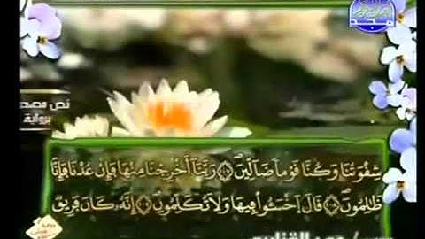 الجزء الثامن عشر (18) من القرآن الكريم بصوت الشيخ عمر القزابري