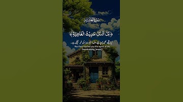 سورة الغاشية #الرحمن #اكسبلور #دويتو #ماوراءيات #المصحف