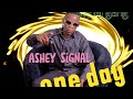 A S H E Y S I G N A L One Day Official Audio Signal Gang