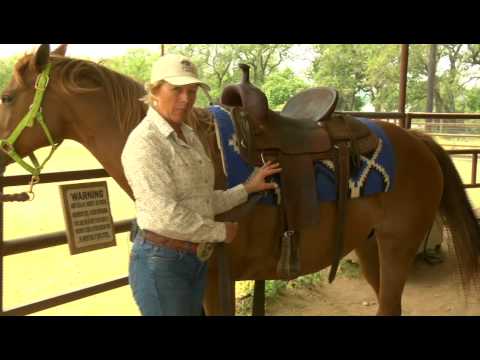 Video: Een paardenzadel in 
