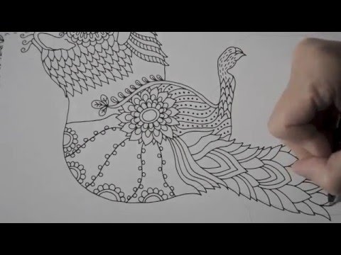 Video: Jak Nakreslit Veverku