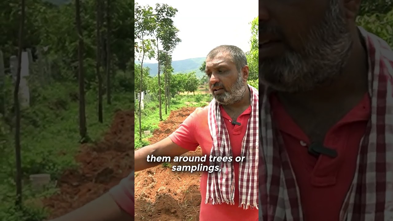 Removing Excess Stones from My Land: Here’s How