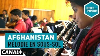 Afghanistan : Mélodie en sous-sol  - L’Effet Papillon – CANAL+