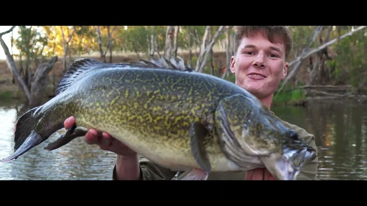 This is MURRAY COD Fishing - Friendship, Memories and Adventure - YouTube