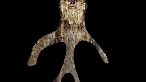 Trapping! The Culling: Day 1 Reference