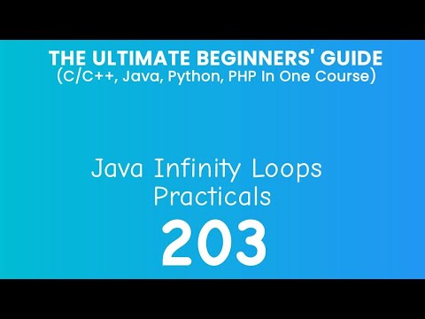 203. Java Infinity Loop Practical