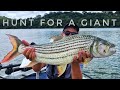 Hunt For a Giant Tiger Fish - Trailer