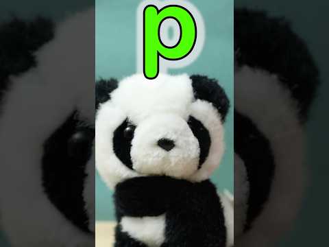 Alphabet Animals PQR Bouncepatrol Animals Abc Phonics Panda Quokka Rabbit Learning Kids 