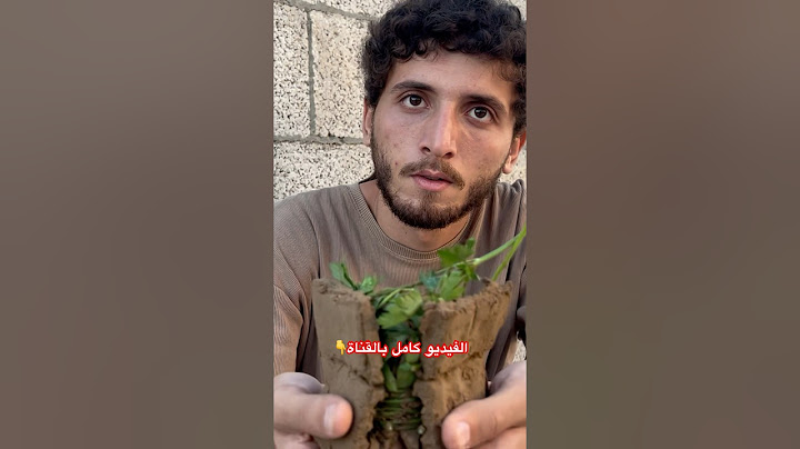 اكبر شكلاتة دبي بالعالم ❗️❌