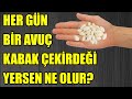 HER GÜN BİR AVUÇ KABAK ÇEKİRDEĞİ YERSEN NE OLUR 
