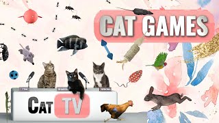 КОТ-игры | Лучшая подборка Cat TV, том 32 | 2 ЧАСА 🐝🐞🦋🦎🦜🐜🐭🧵