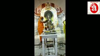 Jain Tirathश्री १००८ भगवान पार्श्वनाथ दिगम्बर जैन अतिशय क्षेत्र पुण्योदय तीर्थ  हाँसी,हिसार(हरियाणा)
