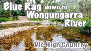 Blue Rag down to Wongungarra River ... Vic  High Country