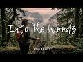 Open Roads 🌄 1 Hour Acoustic Indie Folk