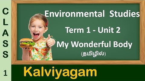 Class 1 | EVS | Unit 2 | My wonderful body | TN Syllabus | Samacheer kalvi | Kalviyagam | Tamil