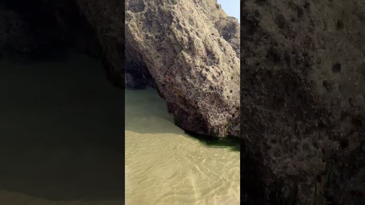 Soft Music Gentle Streams And The Quiet Magic Of Healing Nature Shorts Shortsfeed
