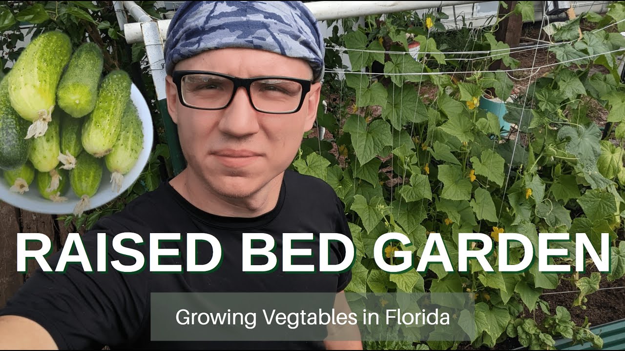 Starting my first raised bed YouTube