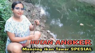 iKAN TAWAR SPESIAL' mancing di sungai besar hutan pedesaan