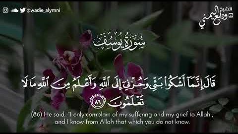 { قال إنما أشكو بثي وحزني إلى الله } || - الشيخ وديع اليمني تلاوة تفيض جمالا من سورة يوسف