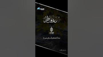 سورة فاطر بأداء خاشع ومؤثر 🕊️ | للقارئ إسلام صبحي