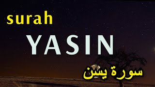 Surah Yasin. READING BY STEEL MISHARI RASHID ALAFAZY سورة ياسين. آيات قرآنية تريح القلب. 12