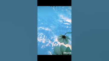 آية من سورة النور✨بصوت سلمان العتيبي🦋#أرح سمعك😌