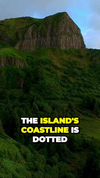Unveiling the Dazzling Beauty of Flores Islands Floral Paradise