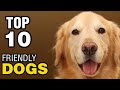 TOP 10 FRIENDLY DOG BREEDS